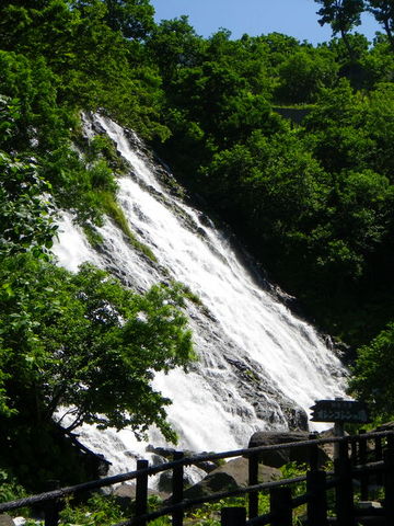 IMGP0195.jpg