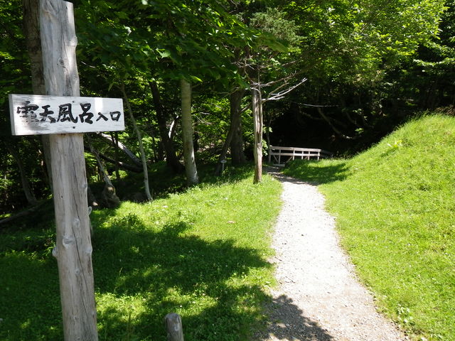 IMGP0204.jpg