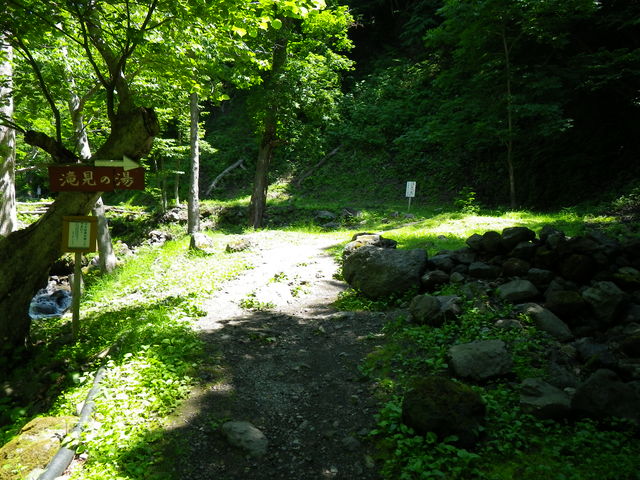 IMGP0223.jpg