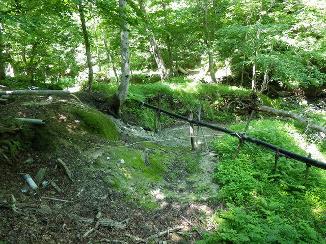 IMGP0243.jpg