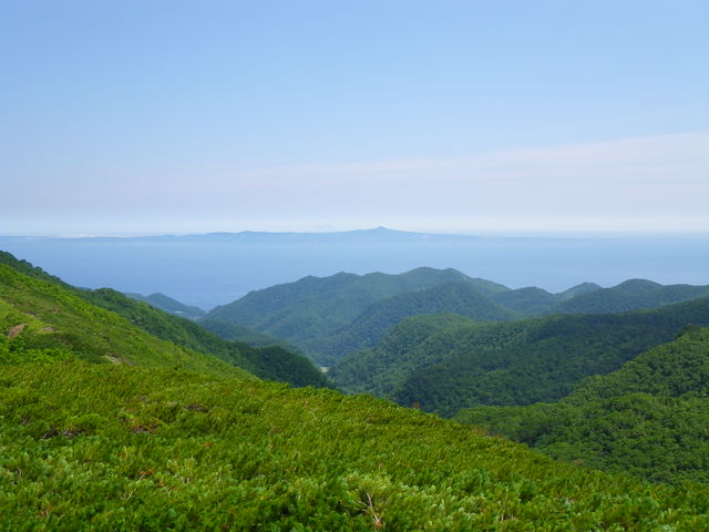 IMGP0260.jpg