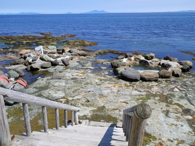 IMGP0264.jpg