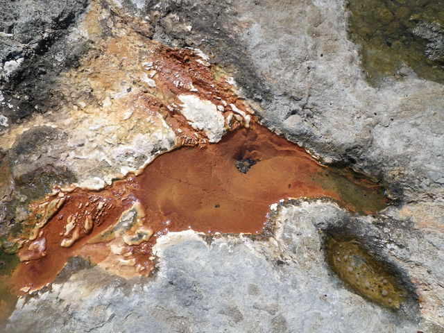 IMGP0281.jpg