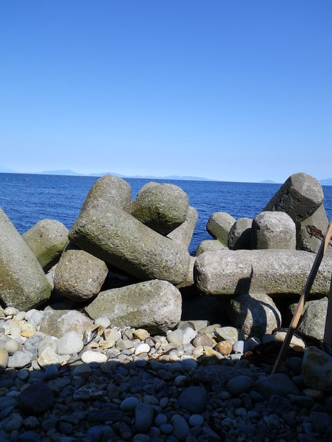 IMGP0301.jpg