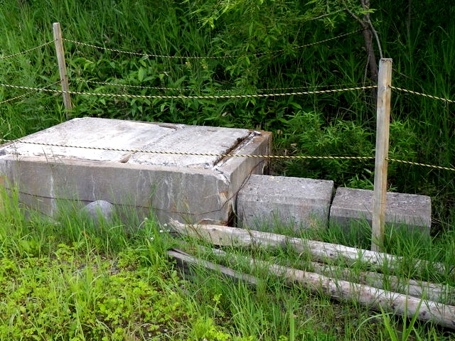 IMGP0476.jpg