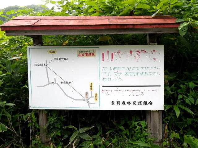 IMGP0811.jpg