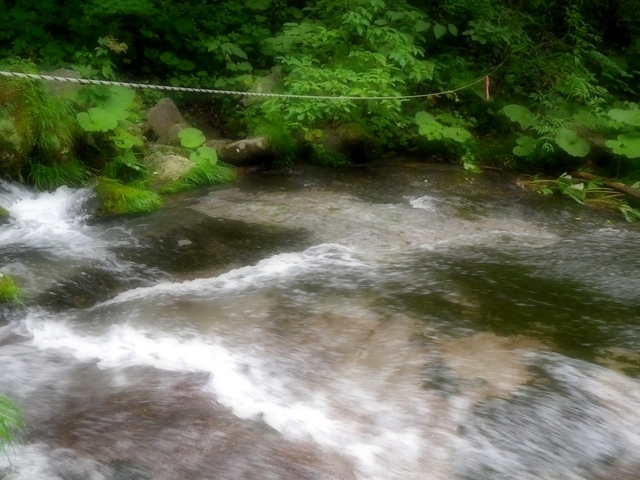 IMGP0894.jpg
