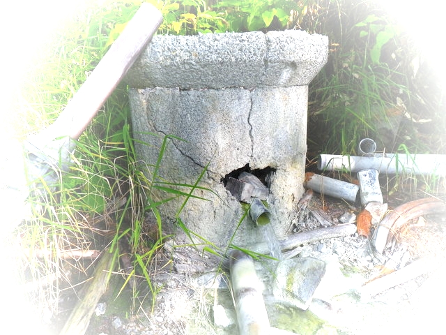 IMGP1129.jpg