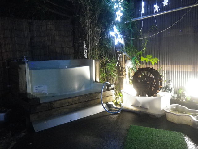 IMGP1571.jpg