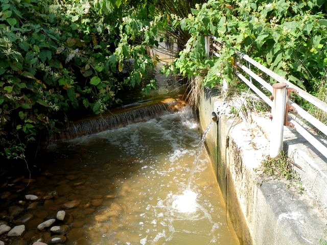 IMGP1901.jpg