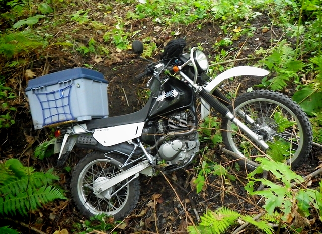 IMGP2509.jpg