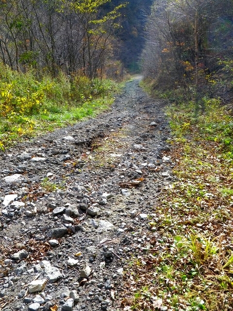 IMGP2944.jpg