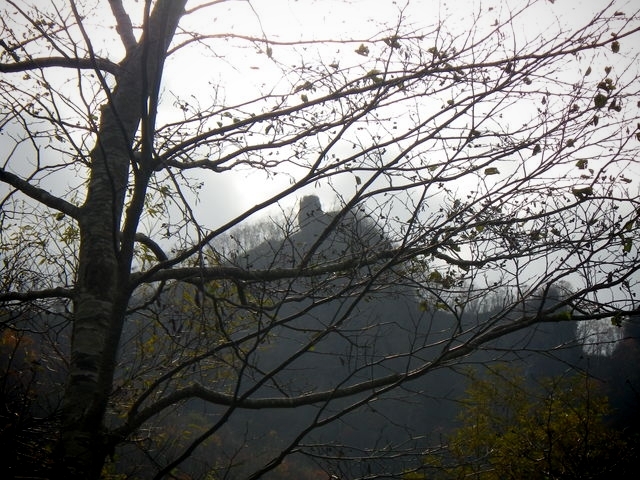 IMGP2950.jpg
