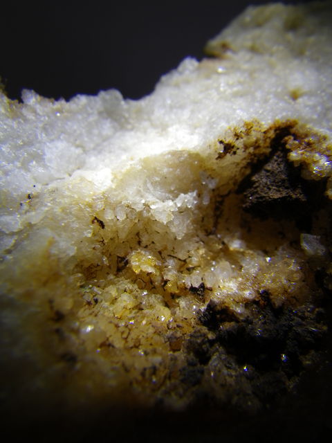 IMGP3109.jpg