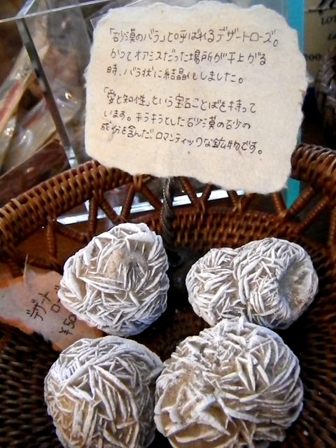 IMGP3247.jpg