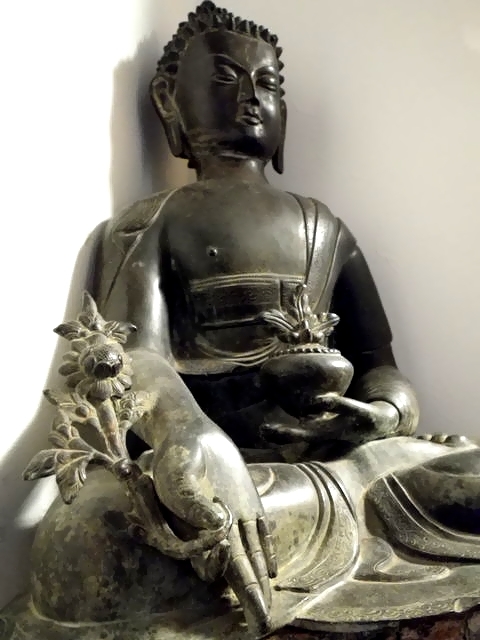 IMGP3283.jpg