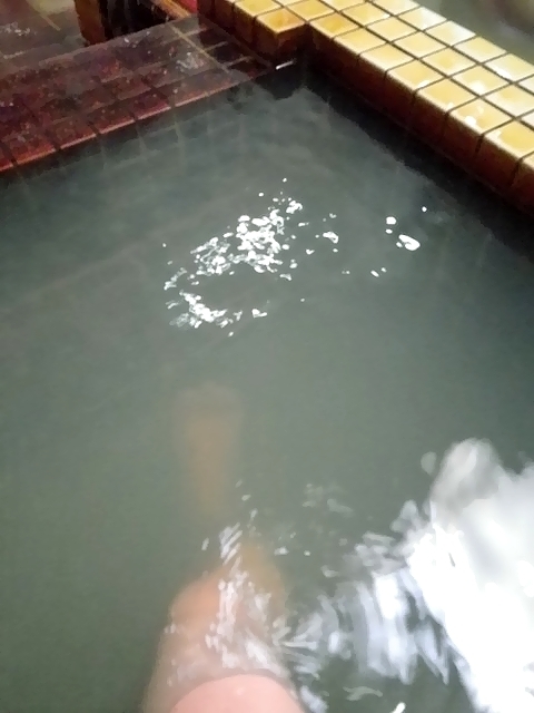 IMGP3647.jpg