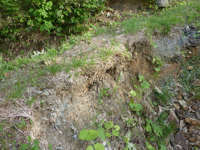 P1000016.jpg