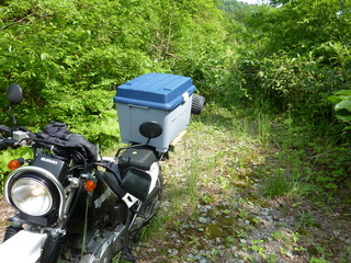 P1000022.jpg