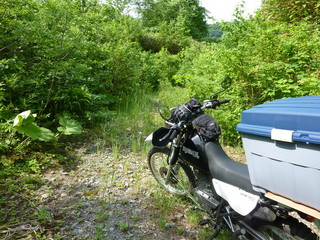 P1000023.jpg