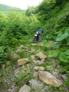 P1000025.jpg