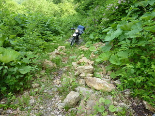 P1000026.jpg