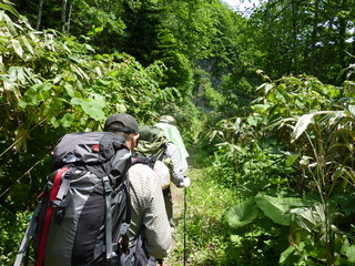 P1000044.jpg
