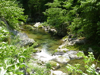 P1000050.jpg