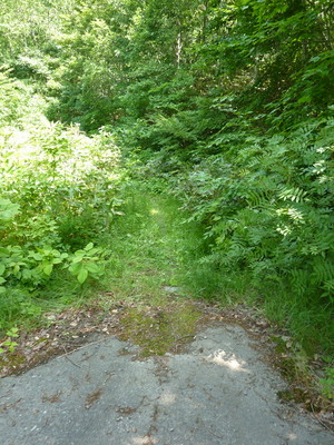 P1000059.jpg