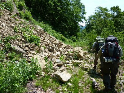 P1000061.jpg