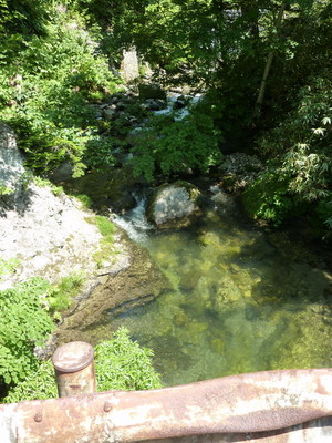 P1000068.jpg