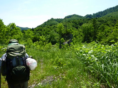 P1000069.jpg