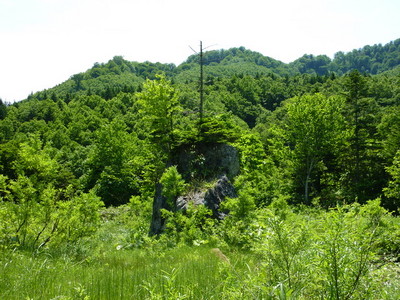 P1000073.jpg