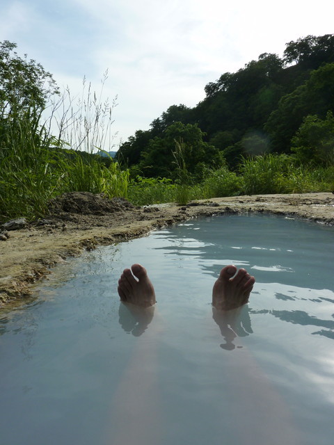 P1000110.jpg