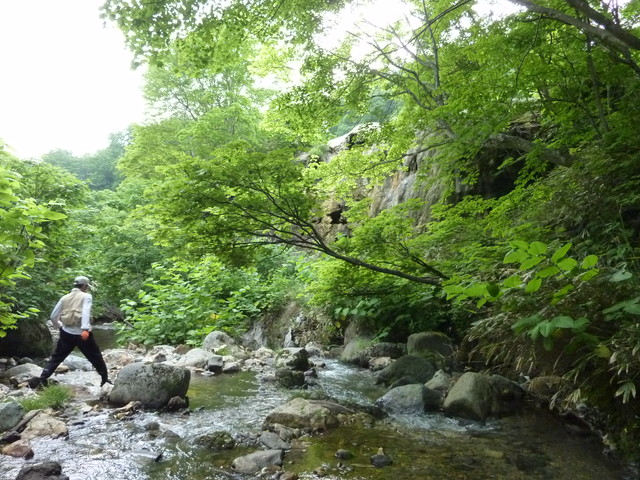 P1000127.jpg