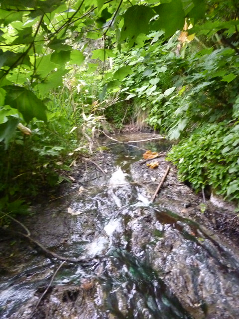 P1000150.jpg
