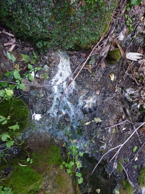 P1000162.jpg