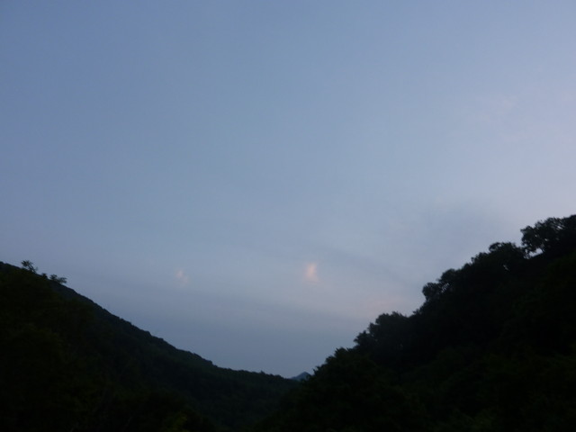 P1000177.jpg