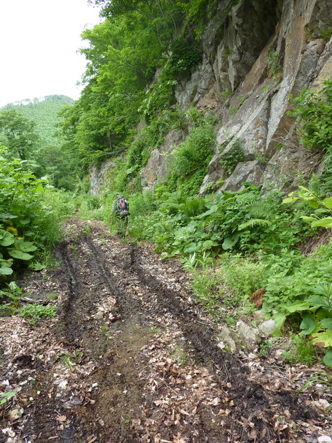 P1000203.jpg