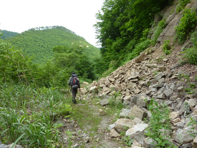 P1000204.jpg