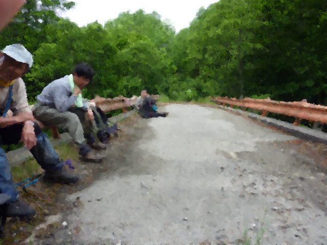 P1000205.jpg