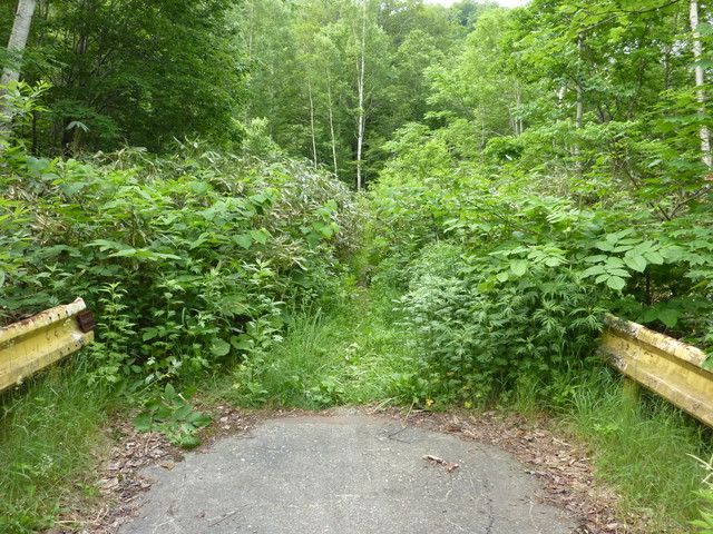 P1000213.jpg