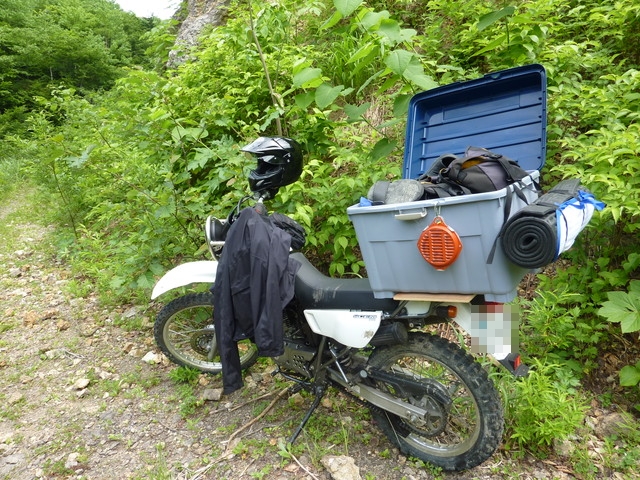 P1000219.jpg