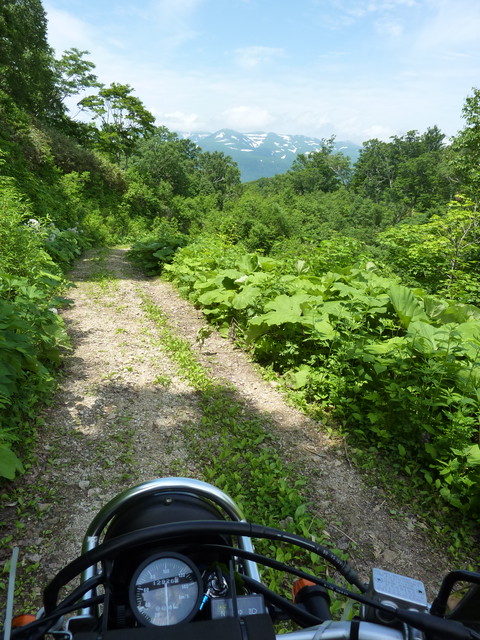 P1000223.jpg