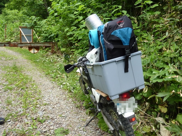 P1000226.jpg