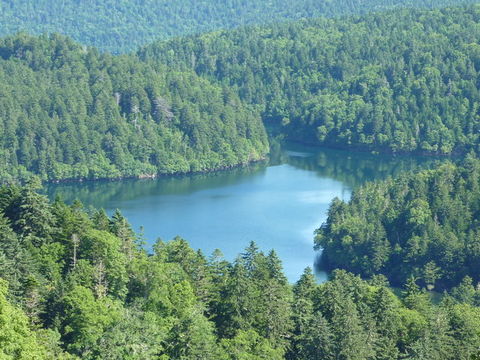 P1000368.jpg