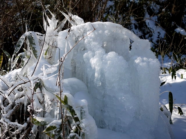 P1000369.jpg