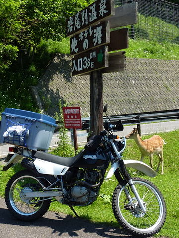 P1000381.jpg