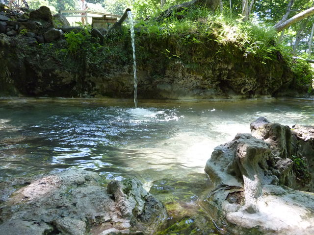 P1000394.jpg