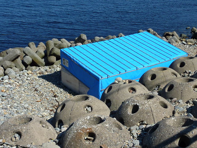 P1000441.jpg